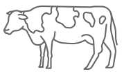 Büyükbaş <br>Hayvancılık